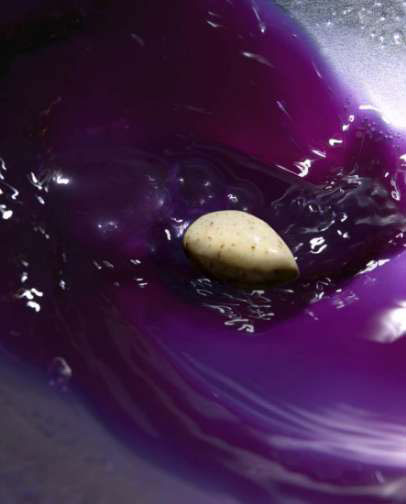 The Fat Duck food portrait