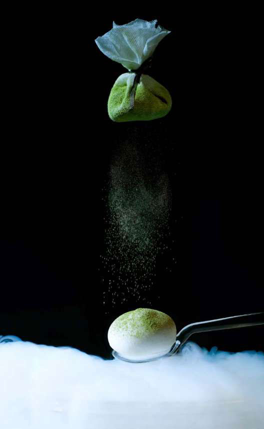 The Fat Duck food portrait